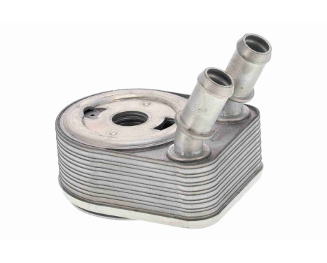 Oil cooler, engine oil, Image 5