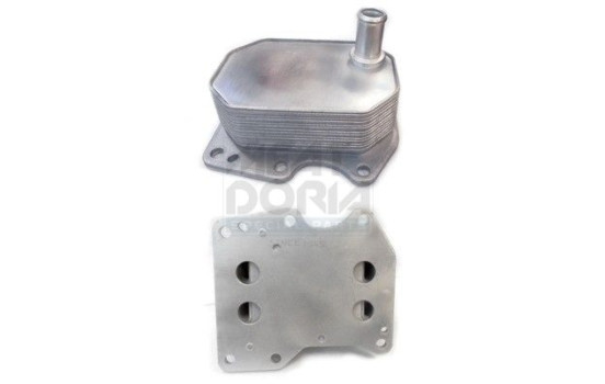 Oil cooler, engine oil