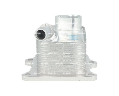 Oil cooler, engine oil