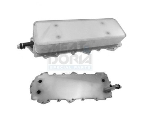 Oil cooler, engine oil