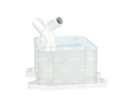 Oil cooler, engine oil