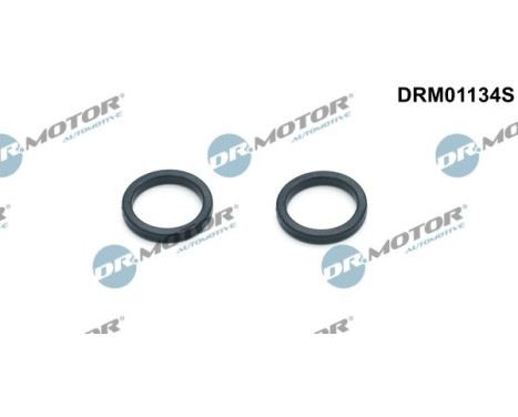 Seal kit, oil cooler