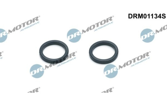 Seal kit, oil cooler