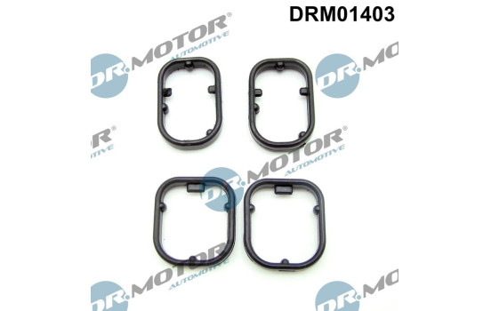 Seal kit, oil cooler