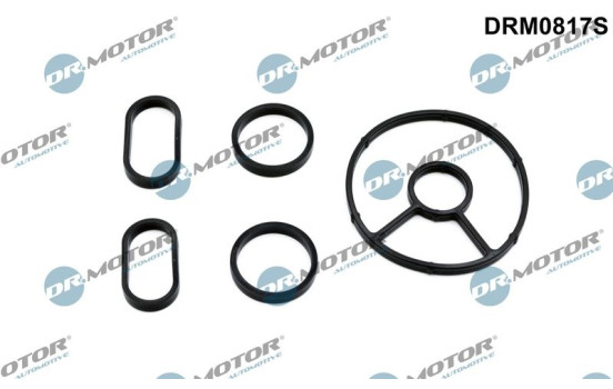 Seal kit, oil cooler