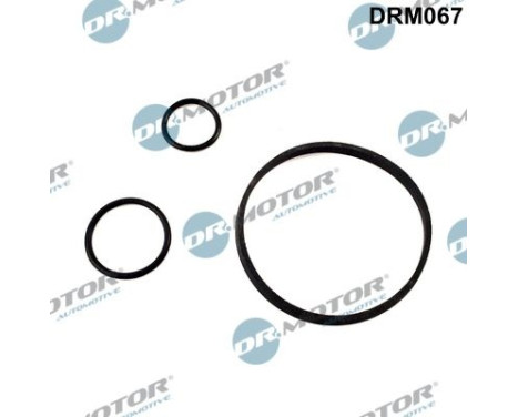 Seal kit, oil cooler