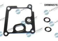 Seal kit, oil cooler