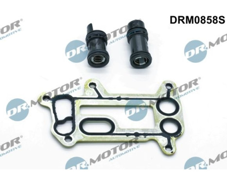Seal kit, oil cooler