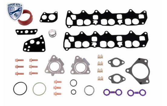 Seal kit, oil cooler