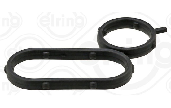 Seal, oil cooler
