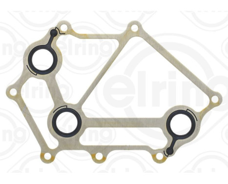 Seal, oil cooler