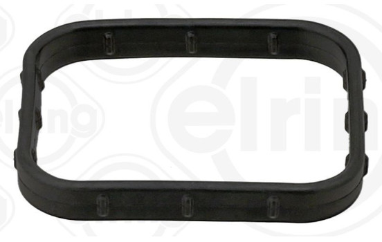 Seal, oil cooler