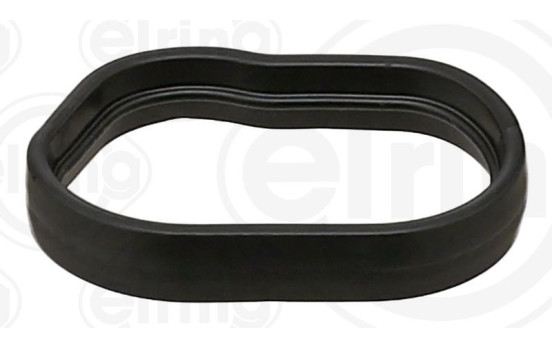 Seal, oil cooler