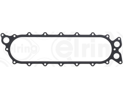 Seal, oil cooler