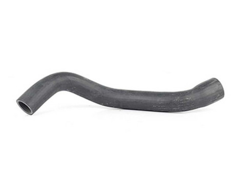 Breather hose, fuel tank