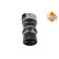 Charge air hose, Thumbnail 2