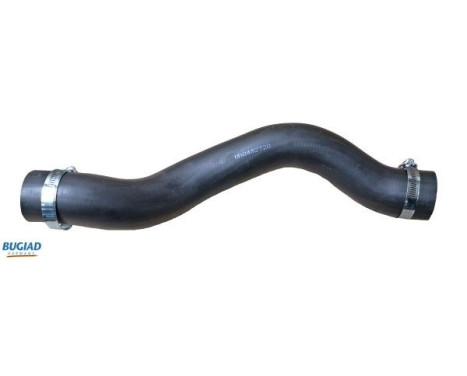 charge air hose