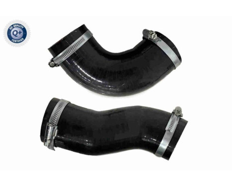charge air hose