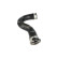 Charge air hose, Thumbnail 4
