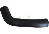 Charger Air Hose