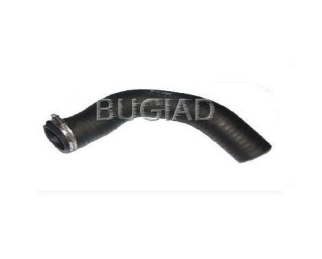 Charger Air Hose