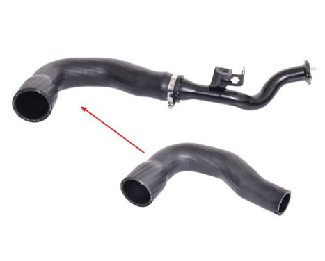 Charger Air Hose