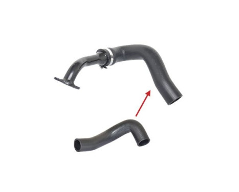 Charger Air Hose