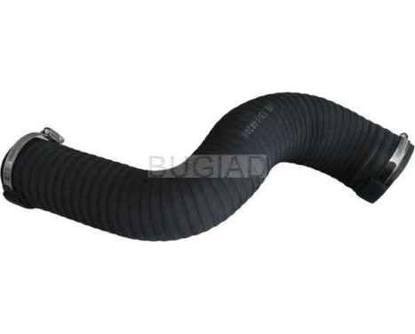 Charger Air Hose