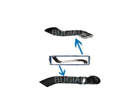 Charger Air Hose
