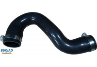Charger Air Hose