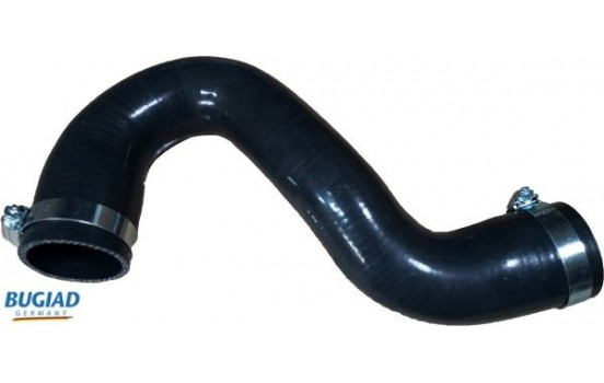 Charger Air Hose