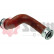 Charger Air Hose