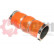 Charger Air Hose