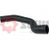 Charger Air Hose
