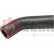 Charger Air Hose