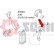 Charger Air Hose, Thumbnail 3