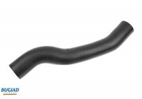 Charger Air Hose