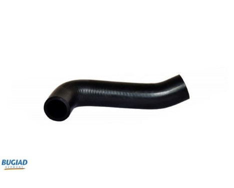 Charger Air Hose