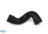 Charger Air Hose