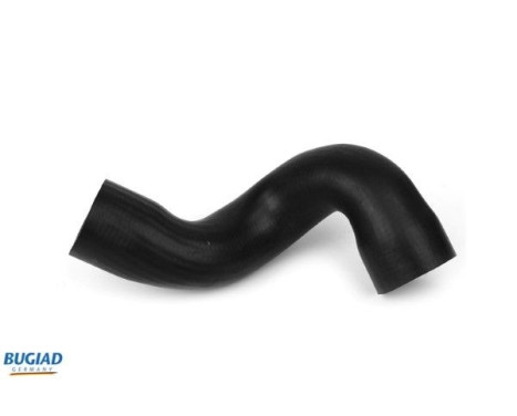 Charger Air Hose