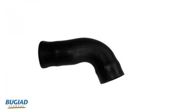 Charger Air Hose