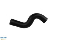 Charger Air Hose