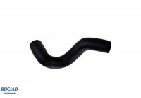 Charger Air Hose