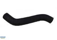 Charger Air Hose