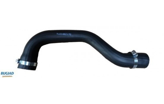 Charger Air Hose