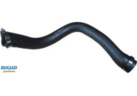 Charger Air Hose