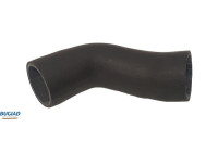 Charger Air Hose