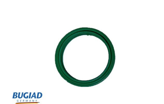 Charging air hose