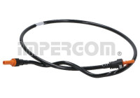 fuel line