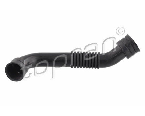 Hose, cylinder head cover breather